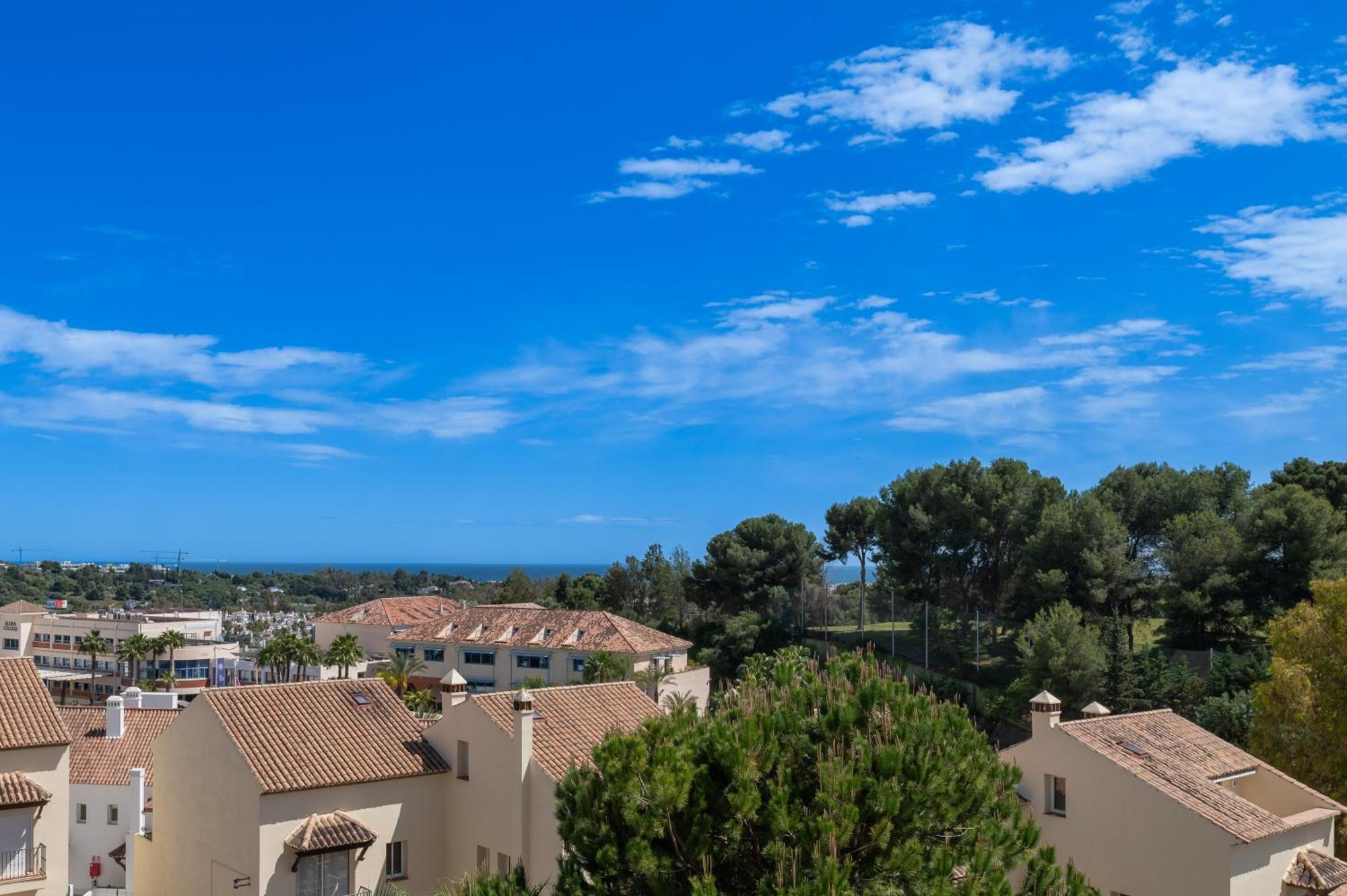 Cozy 3 Bdrm Sunny Townhouse W Bbq And Pool Apartment *